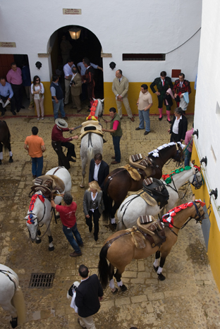 seville