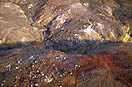la savane en martinique