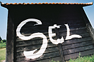 sel à Noirmoutier