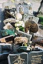 cimetière à la Toussaint en France
