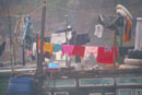 linge à Cat Ba au Vietnam par Laurence Lemaire