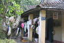 linge près de Hanoi au Vietnam