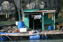 linge à cat Ba au Vietnam