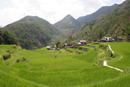 rizières aux Philippines