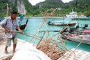koh phi phi après le tsunami en thailande