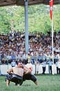 les luttes à l'huile à Edirne en Turquie