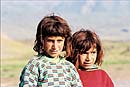 en turquie enfants nomades gardiens de moutons