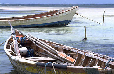 Lagon de la pointe Faula au sud de la Martinique