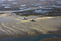 huitres du bassin d'arcachon