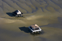 huitres du bassin d'arcachon