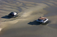 huitres du bassin d'arcachon