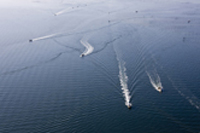 huitres du bassin d'arcachon