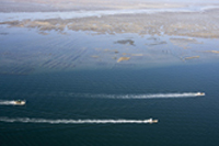 huitres du bassin d'arcachon