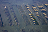 huitres du bassin d'arcachon