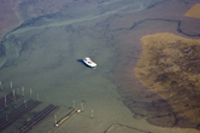 huitres du bassin d'arcachon