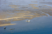 huitres du bassin d'arcachon