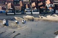 huitres du bassin d'arcachon