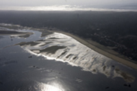 huitres du bassin d'arcachon