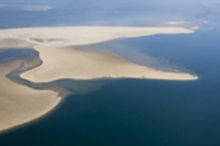 huitres du bassin d'arcachon