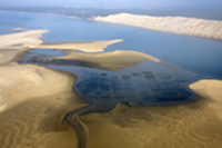 huitres du bassin d'arcachon