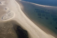 huitres du bassin d'arcachon