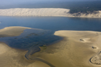 huitres du bassin d'arcachon