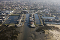 huitres du bassin d'arcachon