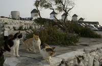 Grèce Mykonos