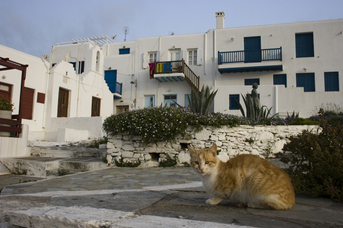 ruelle mykonos