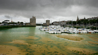 la rochelle photo