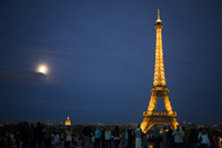 tour eiffel paris lemaire