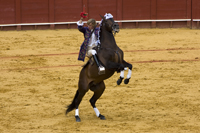 seville feria