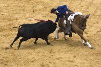 seville feria