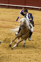 seville feria