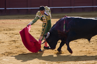 seville feria