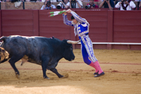 seville feria