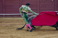 seville feria