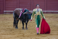 seville feria