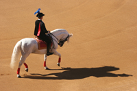 foule à la corrida