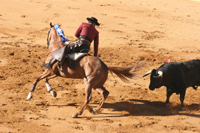 rejones et corrida