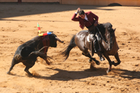 torero en corrida