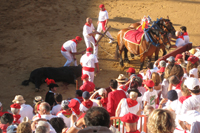 corrida à Bayonne