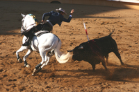 corrida à Bayonne