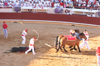 corrida à Bayonne