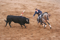 feria corrida