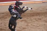 corrida