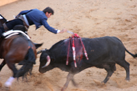corrida