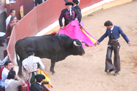 corrida