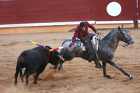 corrida
