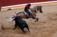 corrida